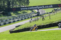 brands-hatch-photographs;brands-no-limits-trackday;cadwell-trackday-photographs;enduro-digital-images;event-digital-images;eventdigitalimages;no-limits-trackdays;peter-wileman-photography;racing-digital-images;trackday-digital-images;trackday-photos